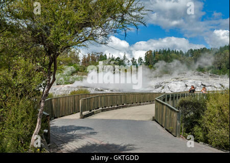 Whakarewarewa Geyser at Te Pui thermal park in geothermal valley of Rotorua, New Zealand Stock Photo