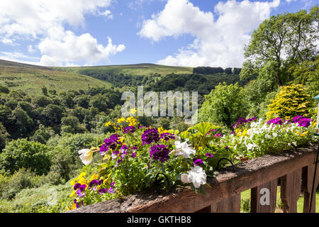 Dunkery Beacon, at 510 metres the highest point on Exmoor, viewed from Cloutsham, Somerset UK Stock Photo