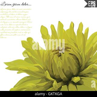Floral invitation card with beautiful spring flowers and banner style. Perfect for wedding, greeting design. Stock Vector