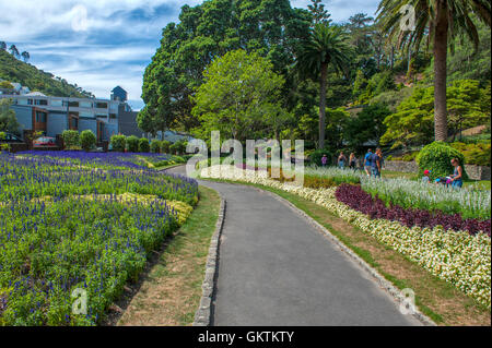 Wellington, New Zealand - March 2, 2016: People resting at Wellington Botanic Garden, the largest public park in town Stock Photo