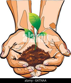 natural small tree on the hand icon Stock Vector