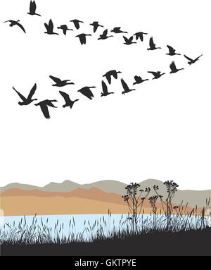 Migrating wild geese over autumn landscape Stock Vector