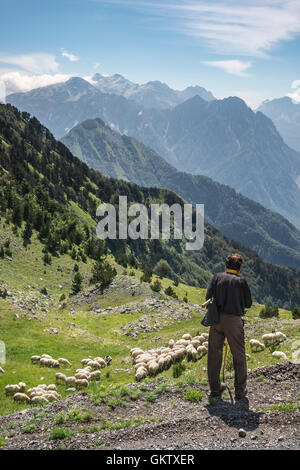 Shepherd with flock on the Qafa e Terthores Pass on the road to Theth with the Albanian Alps in the background, Northern Albania Stock Photo