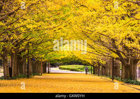 Tokyo, Japan autumn park. Stock Photo