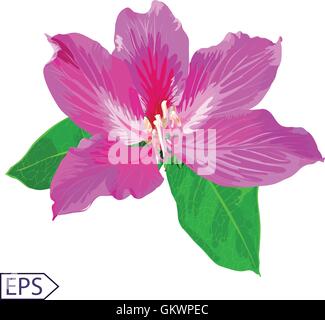 Painted flowers of seamless vector background Stock Vector