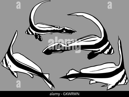 Juvenile Jackknife Fish Stock Vector