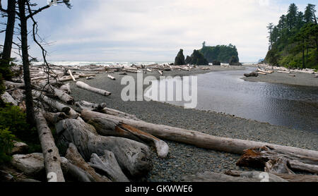 Ruby Beach is the northernmost of the southern beaches in the coastal section of Olympic National Park in Washington State, USA. Stock Photo