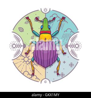 Vector Illustration of Insect Beetle Design Elements with Line Graphic. Circle life Day  Night and Four Seasons Nature Concept Stock Vector