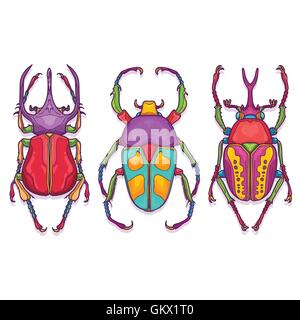 Vector Illustration of Insects Colorful Hand Drawn. Set of 3 Beetle Bugs Top View Stock Vector