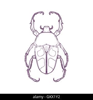 Vector Illustration of Outline Beetle Bug Insect Hand Drawn for Coloring, Jumnos ruckeri Stock Vector