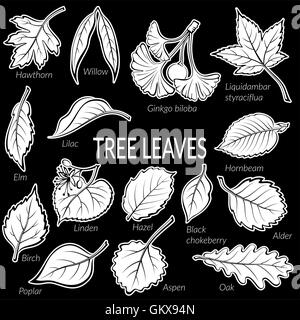 Leaves of Plants Pictogram Set Stock Vector