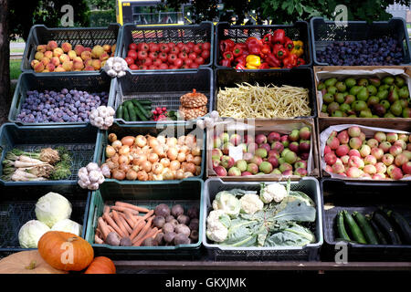 Vegetables for sale at the Breakfast Market Targ Sniadaniowy which is a farmers' and ready-made food market, on Sundays located in the neighborhood park Żoliborz in the city of Warsaw Poland Stock Photo