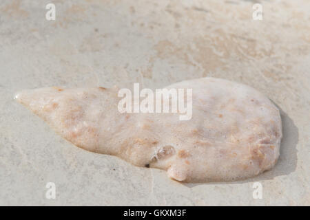 cat sick vomit on smooth stone Stock Photo