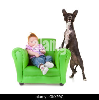 Toddler sitting on a green armchair with a little black dog. Stock Photo