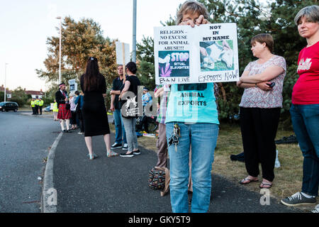 Woman holding up placard to viewer, 'Not in My Name, stop live exports' with other demonstrators in background during protest against live exports from Ramsgate. Stock Photo