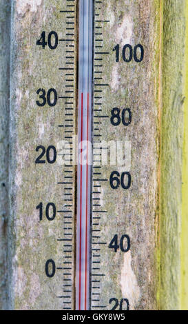 Brighton, UK. 24th Aug, 2016. A thermometer reads 32 degrees centigrade in the shade in a Brighton garden this morning . The temperatures are forecast to go well above thirty throughout southern Britain as the heatwave weather continues Credit:  Simon Dack/Alamy Live News Stock Photo