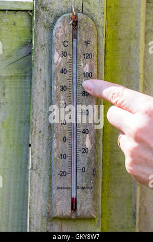 Brighton, UK. 24th Aug, 2016. A thermometer reads 32 degrees centigrade in the shade in a Brighton garden this morning . The temperatures are forecast to go well above thirty throughout southern Britain as the heatwave weather continues Credit:  Simon Dack/Alamy Live News Stock Photo
