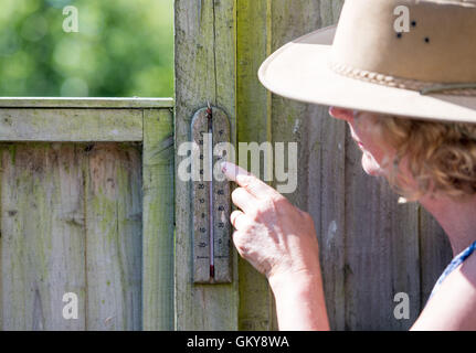 Brighton, UK. 24th Aug, 2016. A thermometer reads 32 degrees centigrade in the shade in a Brighton garden this morning . The temperatures are forecast to go well above thirty throughout southern Britain as the heatwave weather continues Credit:  Simon Dack/Alamy Live News Stock Photo