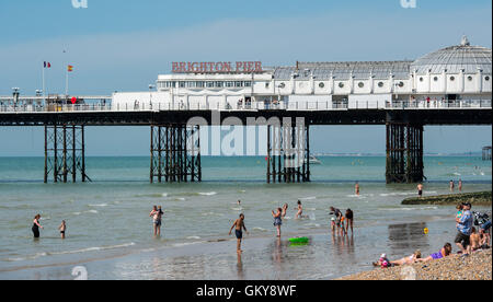 Brighton, UK. 24th Aug, 2016. Crowds flock to Brighton beach to enjoy the hot sunshine today with temperatures forecast to reach over thirty degrees centigrade as the heatwave weather continues throughout southern Britain Credit:  Simon Dack/Alamy Live News Stock Photo