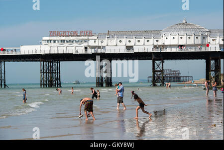 Brighton, UK. 24th Aug, 2016. Crowds flock to Brighton beach to enjoy the hot sunshine today with temperatures forecast to reach over thirty degrees centigrade as the heatwave weather continues throughout southern Britain Credit:  Simon Dack/Alamy Live News Stock Photo