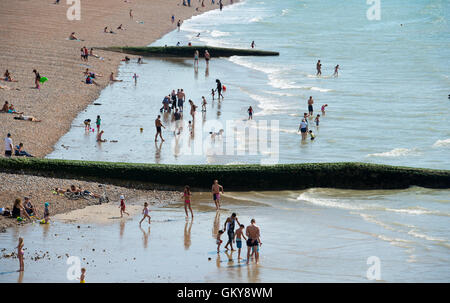 Brighton, UK. 24th Aug, 2016. Crowds flock to Brighton beach to enjoy the hot sunshine today with temperatures forecast to reach over thirty degrees centigrade as the heatwave weather continues throughout southern Britain Credit:  Simon Dack/Alamy Live News Stock Photo