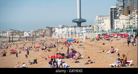 Brighton, UK. 24th Aug, 2016. Crowds flock to Brighton beach to enjoy the hot sunshine today with temperatures forecast to reach over thirty degrees centigrade as the heatwave weather continues throughout southern Britain Credit:  Simon Dack/Alamy Live News Stock Photo