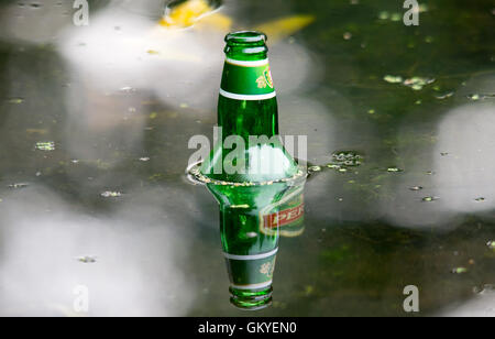 Melton Mowbray Leicestershire: August 24th 2016: UK records  hottest day temperature reached  33.9C, housands of our wildlife injured every year due to litter protect wildlife from harmful rubbish dispose of your rubbish responsibly. Credit: Clifford Norton/Alamy Live News Stock Photo