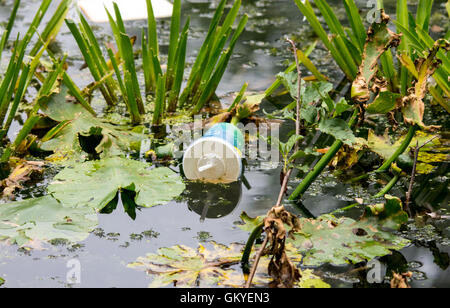 Melton Mowbray Leicestershire: August 24th 2016: UK records  hottest day temperature reached  33.9C, housands of our wildlife injured every year due to litter protect wildlife from harmful rubbish dispose of your rubbish responsibly. Credit: Clifford Norton/Alamy Live News Stock Photo