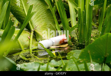 Melton Mowbray Leicestershire: August 24th 2016: UK records  hottest day temperature reached  33.9C, housands of our wildlife injured every year due to litter protect wildlife from harmful rubbish dispose of your rubbish responsibly. Credit: Clifford Norton/Alamy Live News Stock Photo