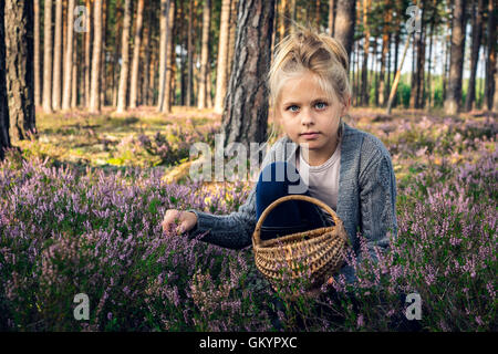 Beautiful blond girl in the woods collecting berries in basket Stock Photo