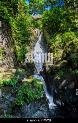Aira Force waterfall, near Ullswater, Lake District, Cumbria Stock Photo
