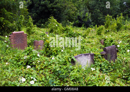 Overgrown headstones at Arnos Vale cemetery in Bristol Stock Photo