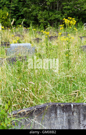 Overgrown headstones at Arnos Vale cemetery in Bristol Stock Photo