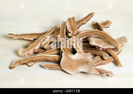 Dried lingzhi mushroom (Also called as Reishi mushroom in Japan, Lingcheu in Thailand, Lingzhi mushroom in China, Ganoderma Luci Stock Photo