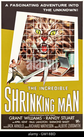 The Incredible Shrinking Man (1957) directed by Jack Arnold and starring Grant Williams, Randy Stuart and April Kent. A man gets smaller and smaller. See description for more information. Stock Photo