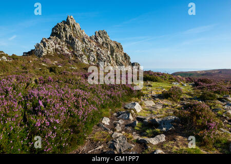 The Devil's Chair on the Stiperstones National Nature Reserve, Shropshire, England, UK. Stock Photo