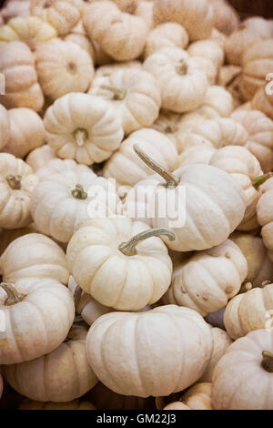 pile of pumpkins at a market Stock Photo - Alamy