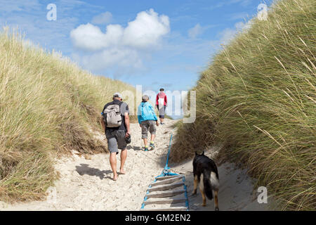 path going through the dunes to Kniepsand Beach, Amrum Island, North Friesland, Schleswig-Holstein, Germany Stock Photo