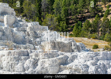 Travertine terraces at Mammoth Hot Springs in Yellowstone National Park Stock Photo