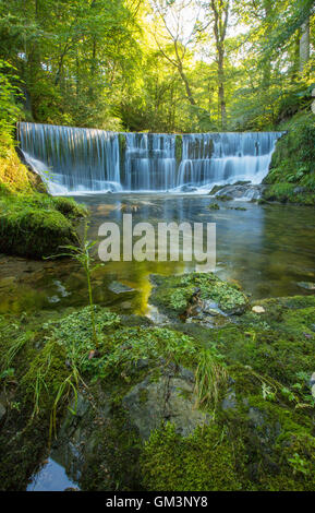 Stock Ghyll Force, Ambleside, Lake District Stock Photo