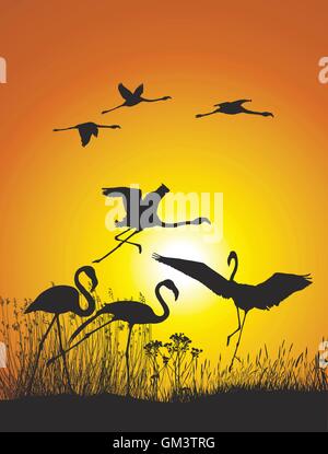 Flamingos on lake shore at sunset Stock Vector