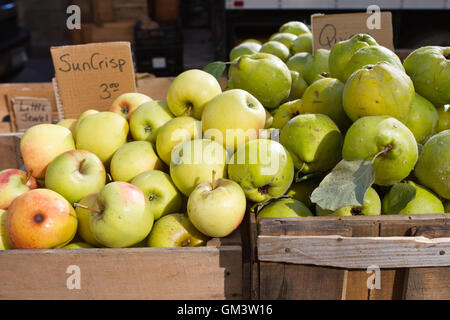 Piles of freshly picked apples and quince in wooden crates at farmers market Stock Photo