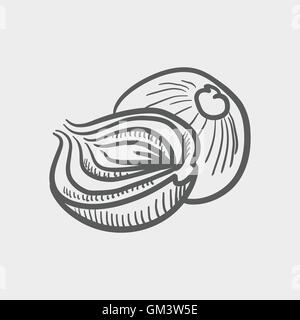 Onion sketch icon Stock Vector