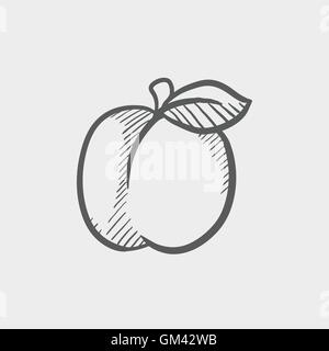 Plum with leaf sketch icon Stock Vector