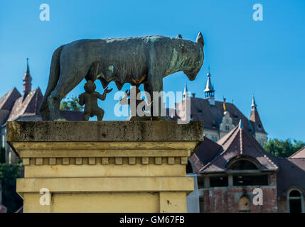 Capitoline Wolf statue with Romulus and Remus twins in Sighisoara city, Transylvania region in Romania Stock Photo