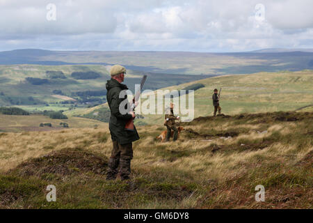 Men ready their shotguns during a grouse shoot in high on the Yorkshire moors in Swinithwaite, North Yorkshire. Stock Photo