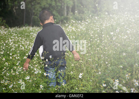 child is walking in the flower garden with fog. Stock Photo