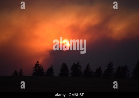 Sunset through smoke. Stock Photo