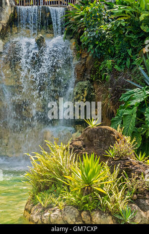 Waterfall At Balata Botanical Gardens Guadeloupe West Indies Stock Photo