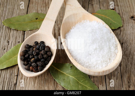 Salt and black pepper in wooden spoons Stock Photo